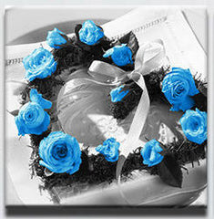 "A CROWN OF BLUE ROSES"