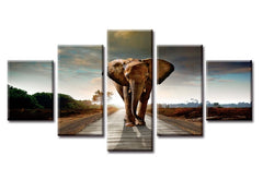 "THE APPROACHING ELEPHANT"