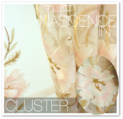 THE NASCENCE IN CLUSTER