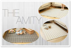 THE AMITY IN CHECKERS