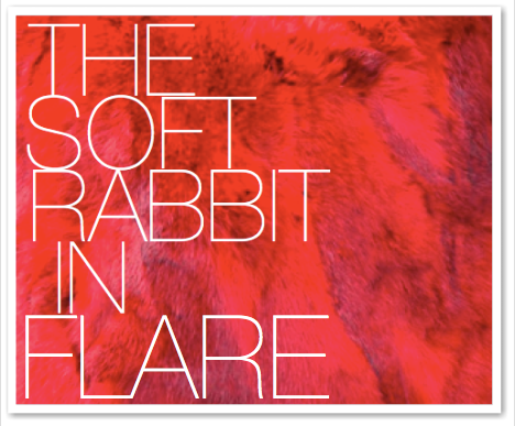 THE SOFT RABBIT IN FLARE