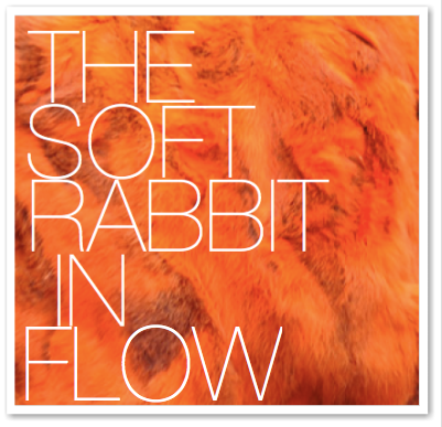 THE SOFT RABBIT IN FLOW
