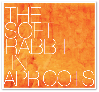 THE SOFT RABBIT IN APRICOTS