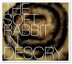 THE SOFT RABBIT IN DESCRY