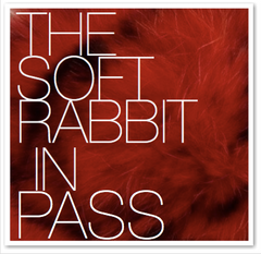 THE SOFT RABBIT IN PASS