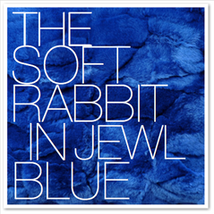 THE SOFT RABBIT IN JEWL BLUE