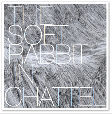 THE SOFT RABBIT IN CHATTEL