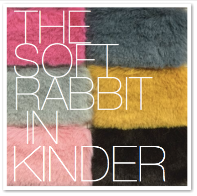 THE SOFT RABBIT IN KINDER