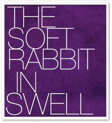 THE SOFT RABBIT IN SWELL