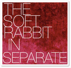 THE SOFT RABBIT IN SEPARATE