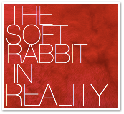 THE SOFT RABBIT IN REALITY