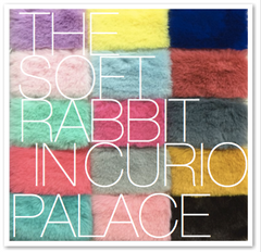 THE SOFT RABBIT IN CURIO PALACE