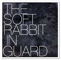 THE SOFT RABBIT IN GUARD