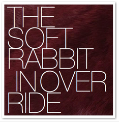 THE SOFT RABBIT IN OVER RIDE