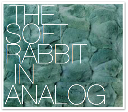THE SOFT RABBIT IN ANALOG