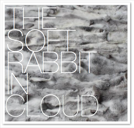 THE SOFT RABBIT IN CLOUD