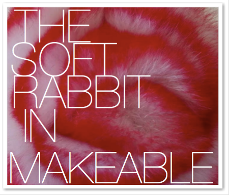 THE SOFT RABBIT IN MAKEABLE