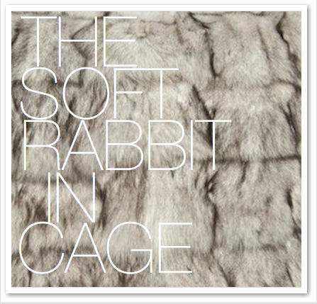 THE SOFT RABBIT IN CAGE