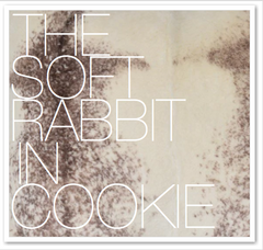 THE SOFT RABBIT IN COOKIE
