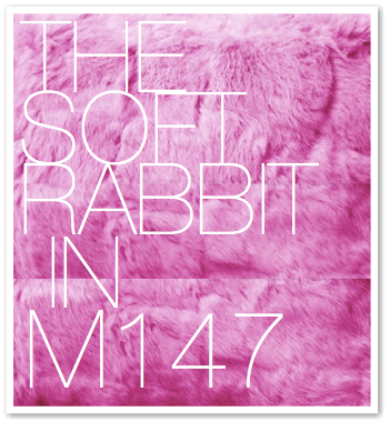 THE SOFT RABBIT IN M147
