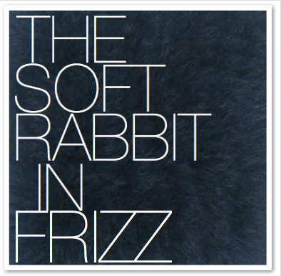 THE SOFT RABBIT IN FRIZZ