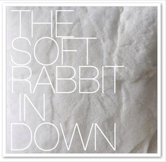 THE SOFT RABBIT IN DOWN