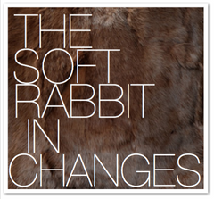 THE SOFT RABBIT IN CHANGES
