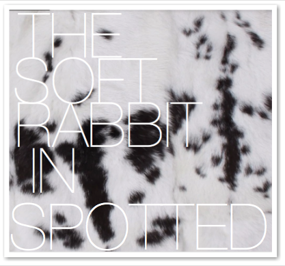 THE SOFT RABBIT IN SPOTTED
