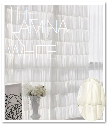 THE LAMINA IN WHITE