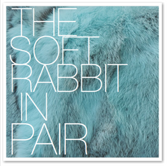 THE SOFT RABBIT IN PAIR