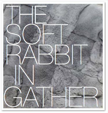 THE SOFT RABBIT IN GATHER