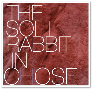 THE SOFT RABBIT IN CHOSE