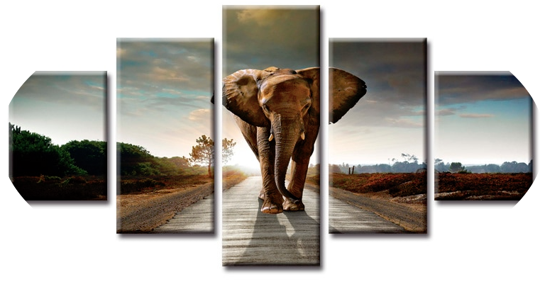 "THE APPROACHING ELEPHANT"