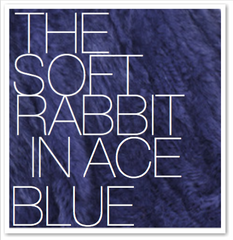 THE SOFT RABBIT IN ACE BLUE