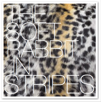 THE SOFT RABBIT IN STRIPES
