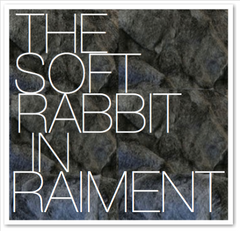 THE SOFT RABBIT IN RAIMENT