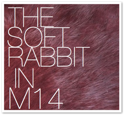 THE SOFT RABBIT IN M14