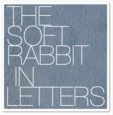 THE SOFT RABBIT IN LETTERS
