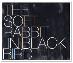 THE SOFT RABBIT IN BLACK BIRD