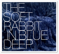 THE SOFT RABBIT IN BLUE DEEP