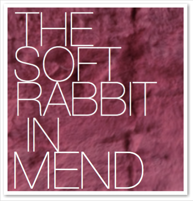 THE SOFT RABBIT IN MEND