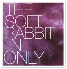 THE SOFT RABBIT IN ONLY