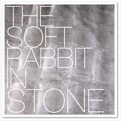 THE SOFT RABBIT IN STONE