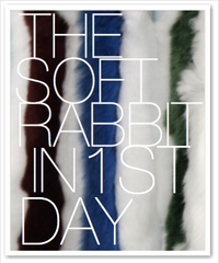 THE SOFT RABBIT IN 1ST DAY