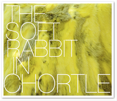 THE SOFT RABBIT IN CHORTLE