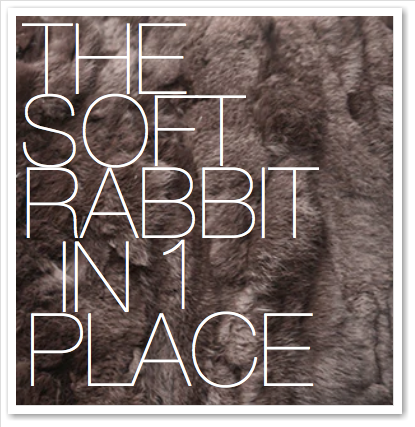 THE SOFT RABBIT IN 1 PLACE