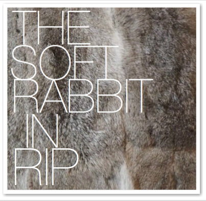 THE SOFT RABBIT IN RIP