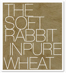 THE SOFT RABBIT IN PURE WHEAT