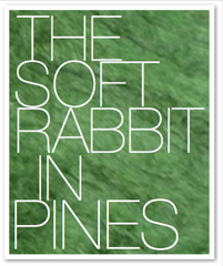THE SOFT RABBIT IN PINES