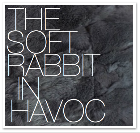 THE SOFT RABBIT IN HAVOC